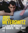 Joel Meyerowitz: A Sense of Wonder. Photographs 1962–2022