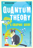 Introducing Quantum Theory: A Graphic Guide