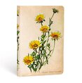 Zápisník Paperblanks Woodland Daisies Mini linkovaný (Painted Botanicals)