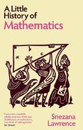A Little History of Mathematics