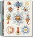 The Art and Science of Ernst Haeckel