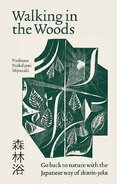 Walking in the Woods: Go back to nature with the Japanese way of shinrin–yoku