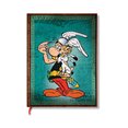 The Adventures of Asterix / Asterix the Gaul / Ultra / Lined
