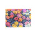 Monet’s Chrysanthemums / Monet’s Chrysanthemums / Document Folder /