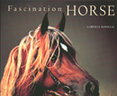 Fascination Horse