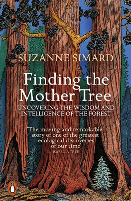 Finding the Mother Tree: Uncovering the Wisdom and Intelligence of the Forest