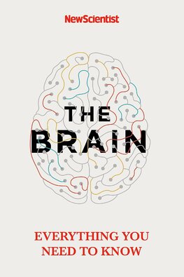 The Brain: Everything You Need to Know
