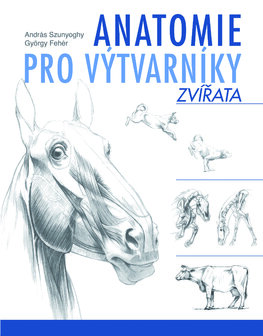 Anatomie pro výtvarníky – Zvířata
