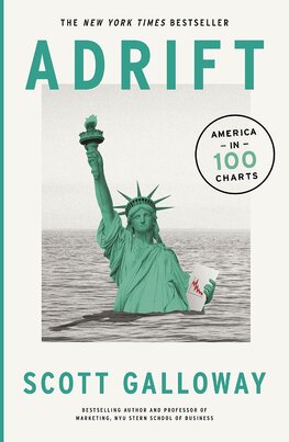 Adrift: America  in 100 Charts