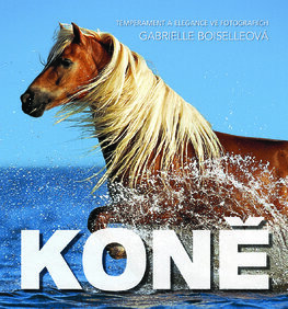 Koně