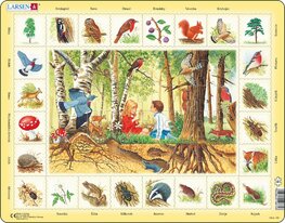 Puzzle Příroda: Les