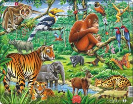 Puzzle Džungle