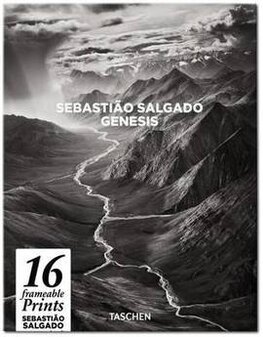 Salgado Poster Box