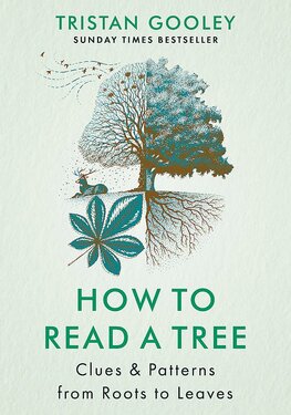 How to Read a Tree: Clues & Patterns from Roots to Leaves