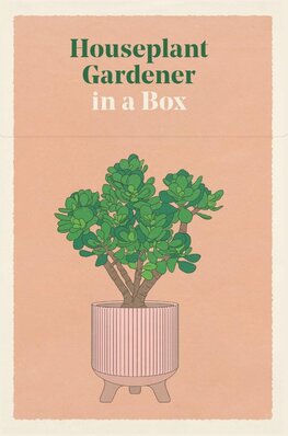 Houseplant Gardener in a Box