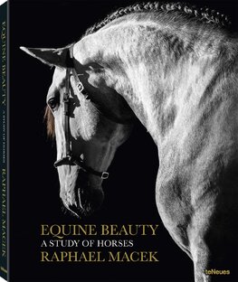 Equine Beauty – A Study of Horses (Small Format Edition)