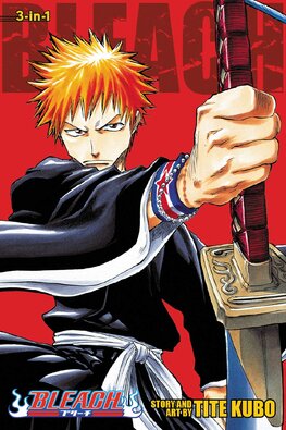 Bleach (3–in–1 Edition), Vol. 1