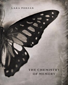 The Chemistry of Memory