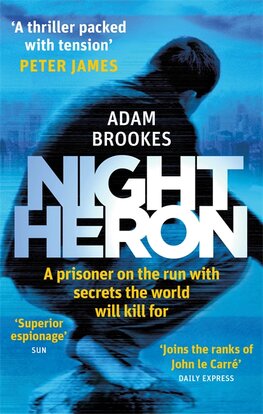 Night Heron (Philip Mangan series 1)