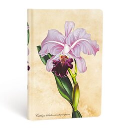 Zápisník Paperblanks Brazilian Orchid Mini linkovaný (Painted Botanicals)