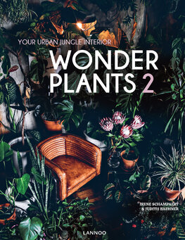 Wonder Plants 2: Your Urban Jungle Interior