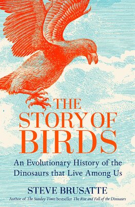 The Story of Birds