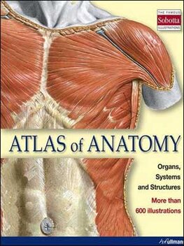 Atlas of Anatomy – Organs, Systems and Structures