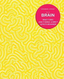 The Brain: What it does, how it works & how it affects behaviour