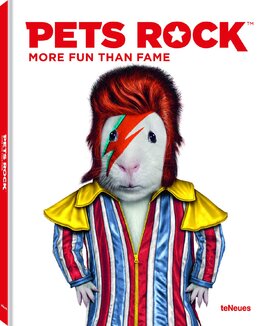 Pets Rock. More Fun Than Fame