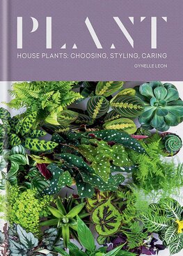 Plant. House plants: choosing, styling, caring