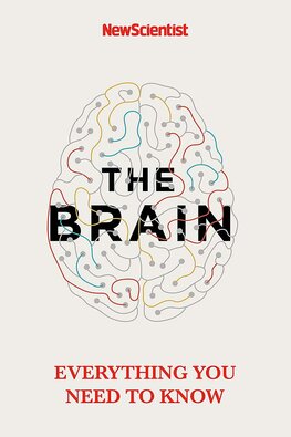 The Brain: Everything You Need to Know