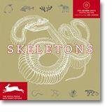 Skeletons