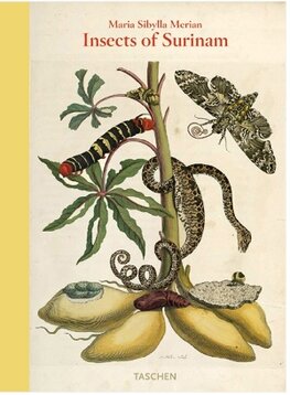 Maria Sibylla Merian, Insects of Surinam