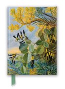 Zápisník Flame Tree. Kew: Marianne North: Flowers of the Flame–Tree and Yellow and Black Twiner
