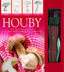 Houby s nožíkem – Určování a sběr