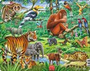 Puzzle Džungle