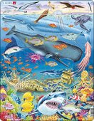 Puzzle Mořský život Tichého oceánu