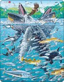 Puzzle Velryby a sledi