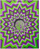 The Psychedelic Sex Book