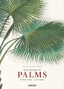 Martius. The Book of Palms
