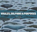 Whales, Dolphins and Porpoises: A Natural History and Species Guide