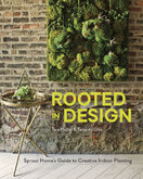 Rooted in Design: Sprout Home's Guide to Creative Indoor Planting