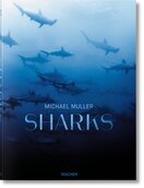 Michael Muller. Sharks. Face–to–Face with the Ocean’s Endangered Predator
