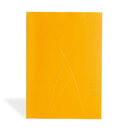 Zápisník Paper–Oh Puro Gold A5 linkovaný