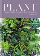 Plant. House plants: choosing, styling, caring