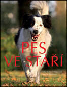 Pes ve stáří