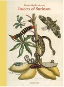 Maria Sibylla Merian, Insects of Surinam