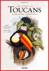 Family of Toucans