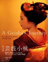 A Geisha's Journey