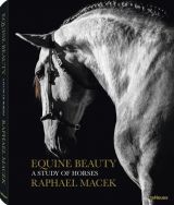 Equine Beauty